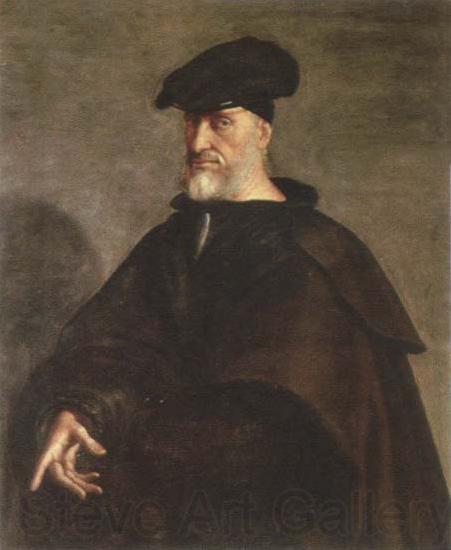 Sebastiano del Piombo portrait of andrea doria Norge oil painting art